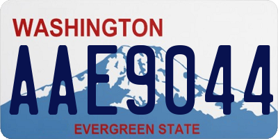 WA license plate AAE9044