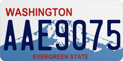 WA license plate AAE9075