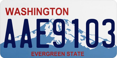 WA license plate AAE9103