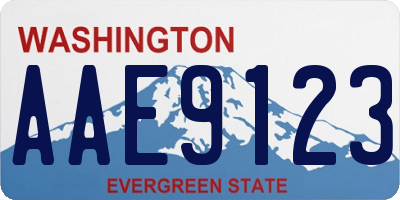 WA license plate AAE9123