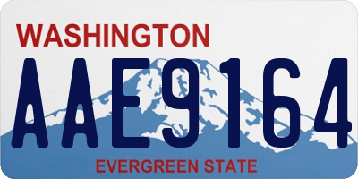 WA license plate AAE9164