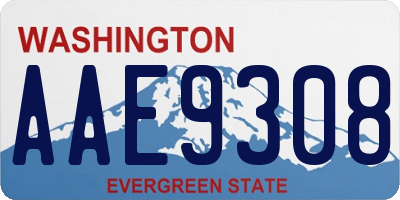 WA license plate AAE9308