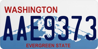 WA license plate AAE9373