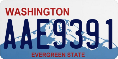 WA license plate AAE9391