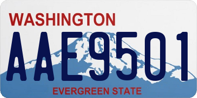 WA license plate AAE9501