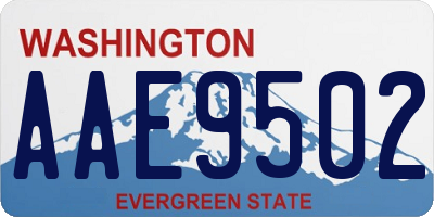 WA license plate AAE9502