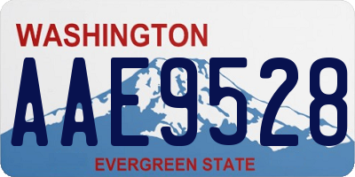 WA license plate AAE9528