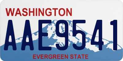 WA license plate AAE9541