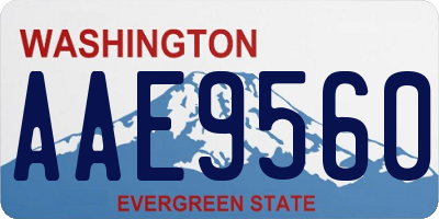 WA license plate AAE9560
