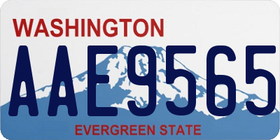 WA license plate AAE9565