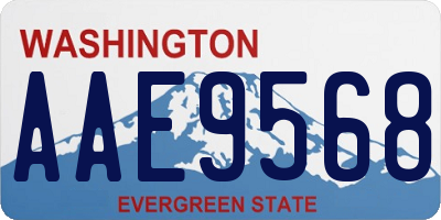 WA license plate AAE9568
