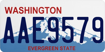 WA license plate AAE9579