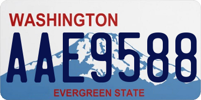 WA license plate AAE9588