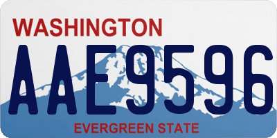 WA license plate AAE9596