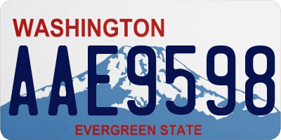 WA license plate AAE9598