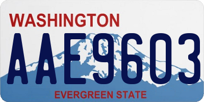 WA license plate AAE9603