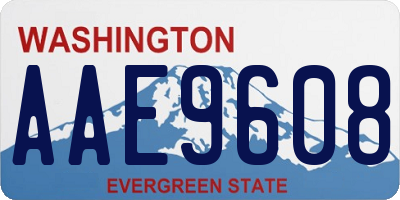 WA license plate AAE9608