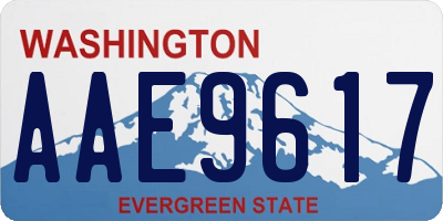 WA license plate AAE9617