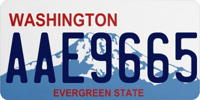 WA license plate AAE9665