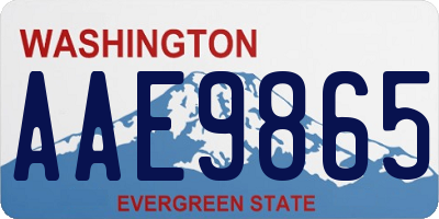 WA license plate AAE9865