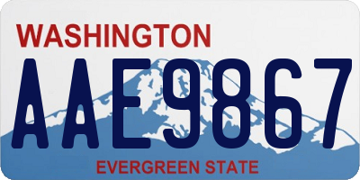 WA license plate AAE9867