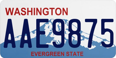 WA license plate AAE9875