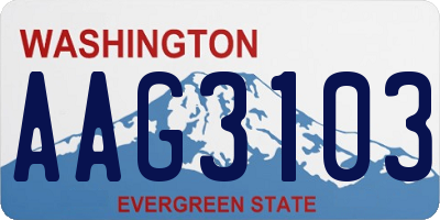 WA license plate AAG3103