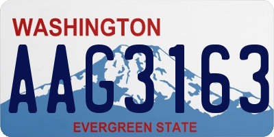WA license plate AAG3163