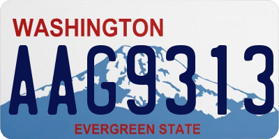 WA license plate AAG9313