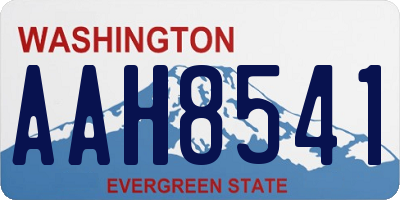 WA license plate AAH8541