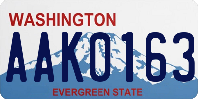 WA license plate AAK0163