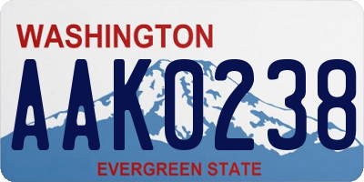 WA license plate AAK0238