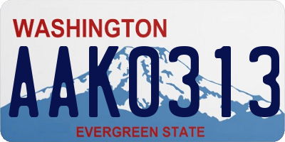 WA license plate AAK0313