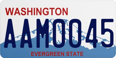 WA license plate AAM0045