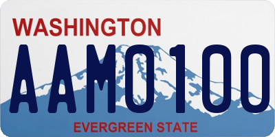 WA license plate AAM0100