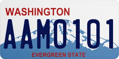 WA license plate AAM0101