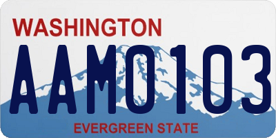WA license plate AAM0103