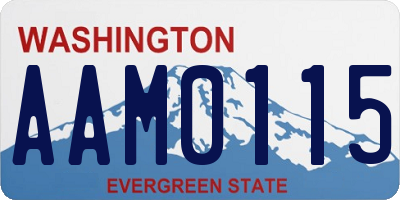 WA license plate AAM0115