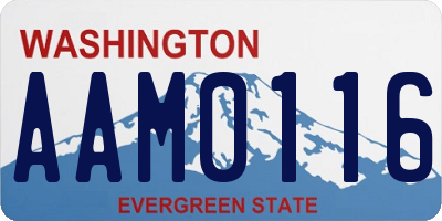WA license plate AAM0116