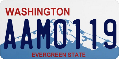 WA license plate AAM0119