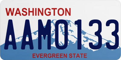 WA license plate AAM0133