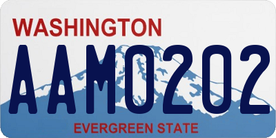 WA license plate AAM0202