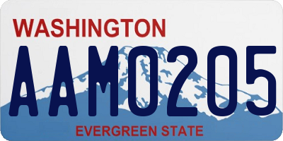 WA license plate AAM0205