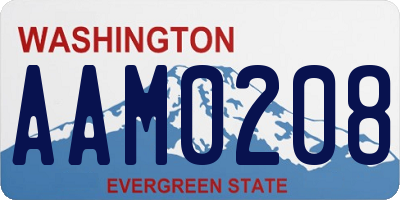 WA license plate AAM0208