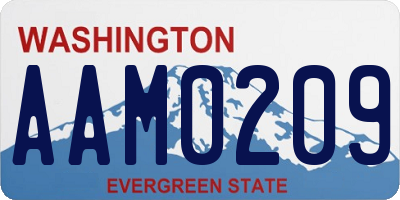 WA license plate AAM0209