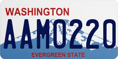 WA license plate AAM0220