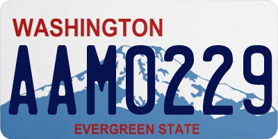 WA license plate AAM0229