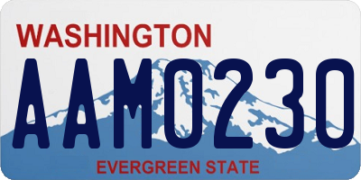 WA license plate AAM0230