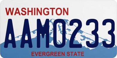 WA license plate AAM0233