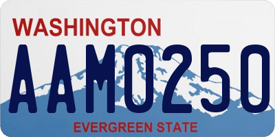 WA license plate AAM0250